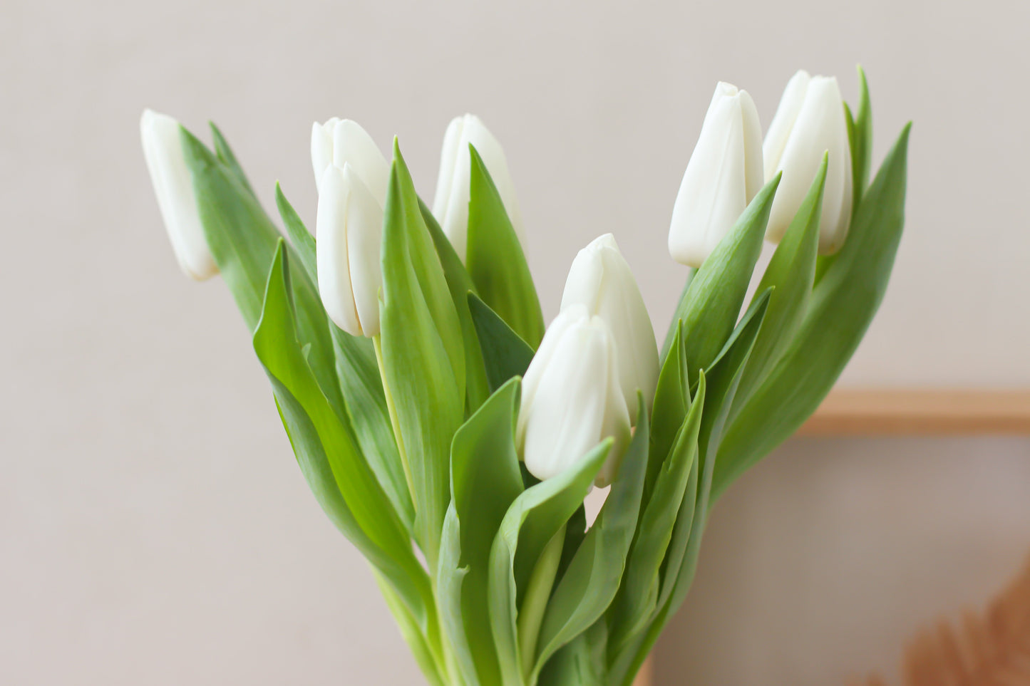 Tulips subscription - arrangement