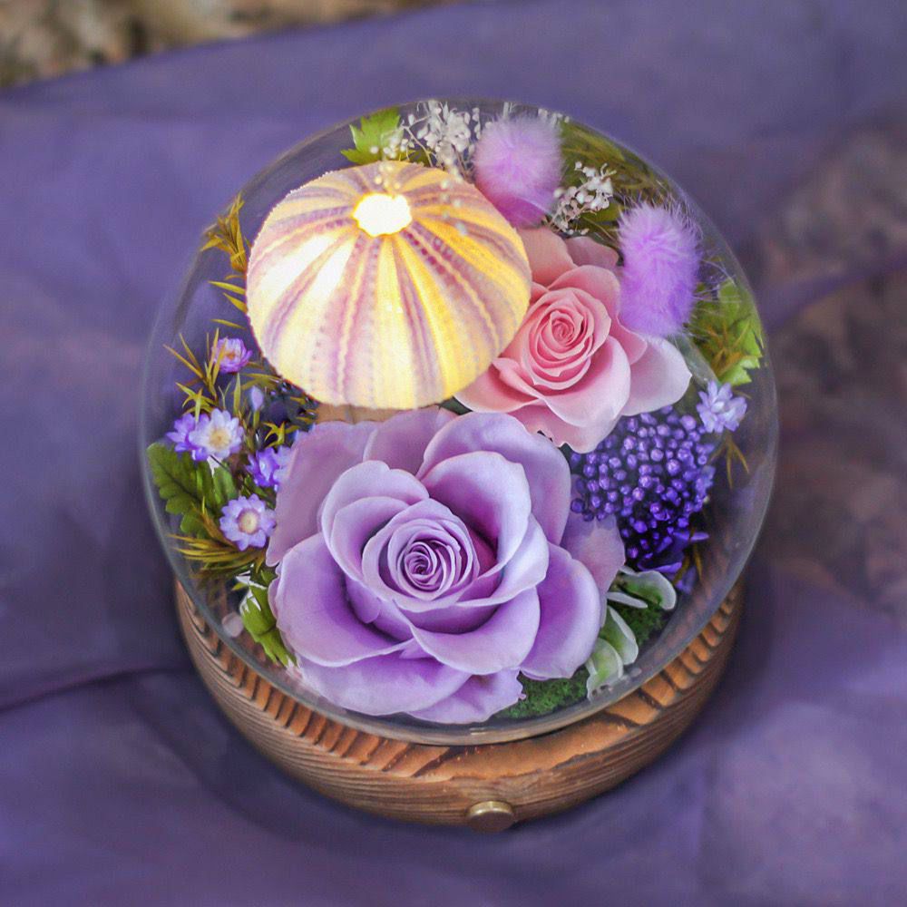 Preserved Flowers Dome Jasmine