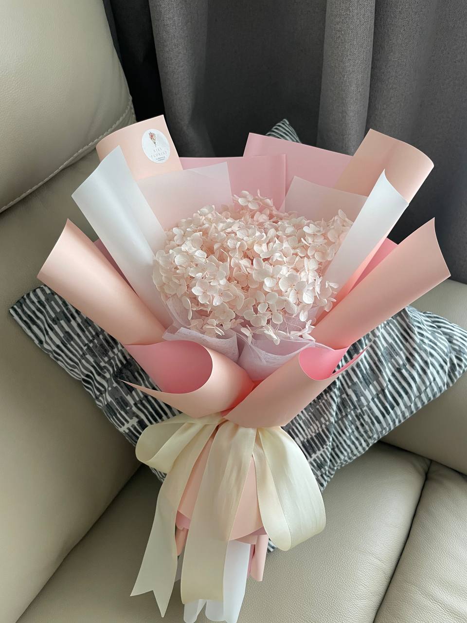 Blushing Hydrangea