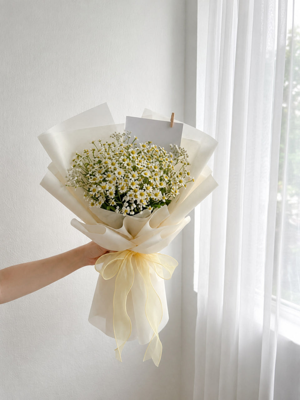 En Masse Chamomile Daisy
