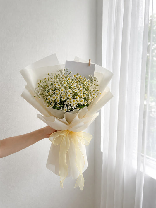 En Masse Chamomile Daisy